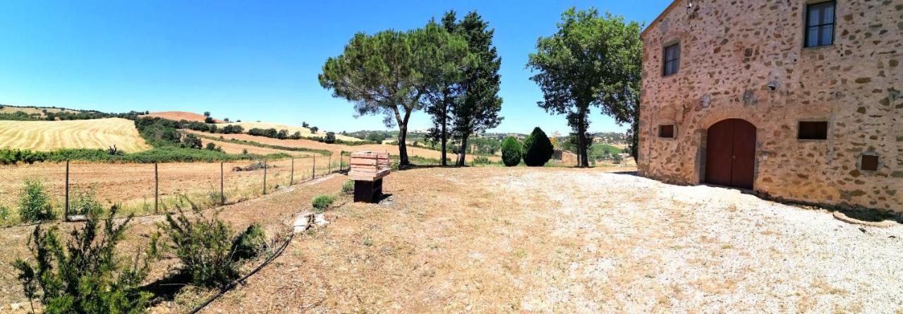 Agriturismo Boschetto Di Montiano Montiano  Exterior foto