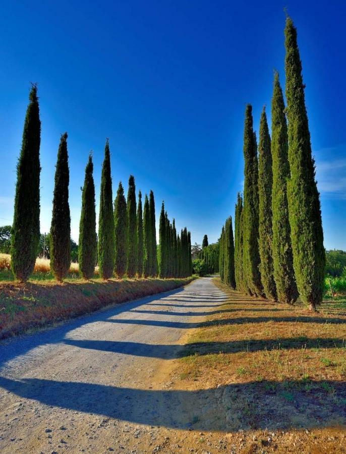 Agriturismo Boschetto Di Montiano Montiano  Exterior foto